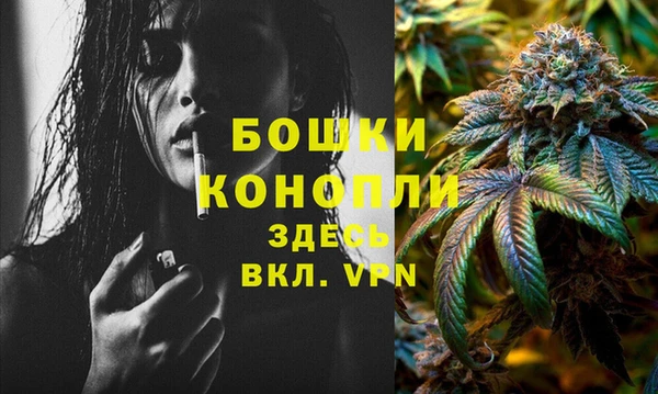 амф Богородицк