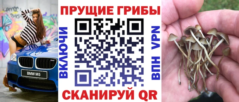blacksprut как войти  хочу   Дальнегорск  Галлюциногенные грибы GOLDEN TEACHER 